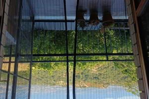 Trilocale circa 100 mq a rose cs