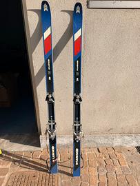 Sci vintage del marchio Kästle