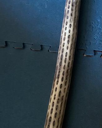 Bastone della pioggia