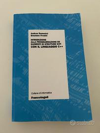 Libro informatica introduzione al linguaggio C++