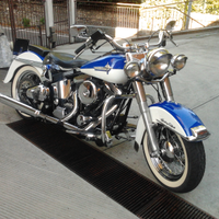 Autista, accompagnatore, servizi