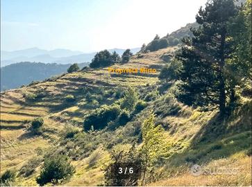 Splendido Terreno Panoramico Alpi Marittime