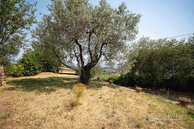 Appartamento di 30 m² con 2 locali a Carmignano
