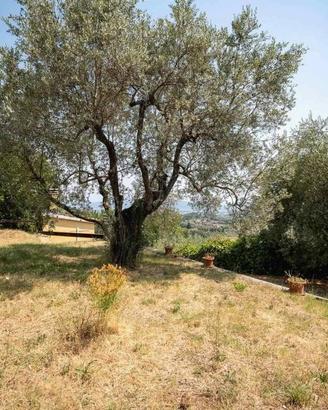 Appartamento di 30 m² con 2 locali a Carmignano