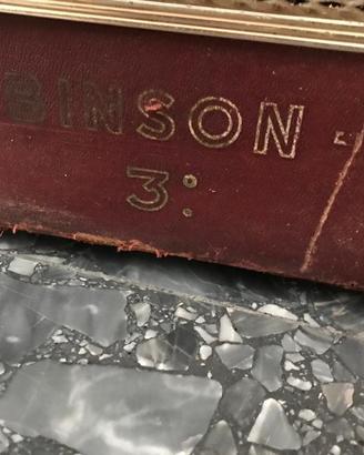 Amplificatore Binson