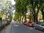 Immagine 6