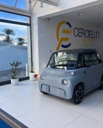 CITROEN Ami Ami da €79,00 mensili