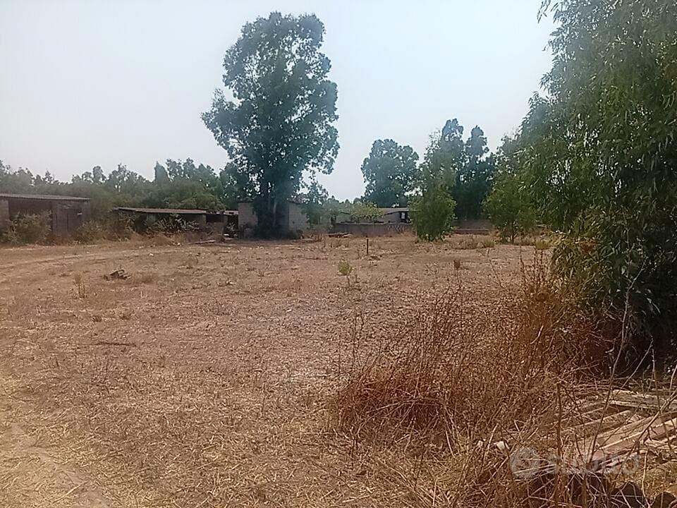 Immobili con Casa, Stalle e Terreno Agricolo - Vista 2