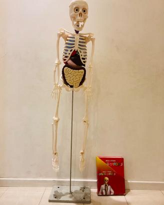 IL CORPO UMANO edicola amica