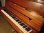 Immagine 3