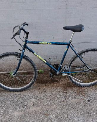 Mountain bike usata