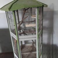  Gabbia uccelli alt 175 cm  larg.80 cm