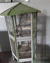  Gabbia uccelli alt 175 cm  larg.80 cm