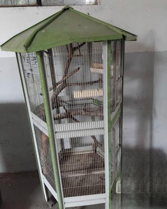  Gabbia uccelli alt 175 cm  larg.80 cm