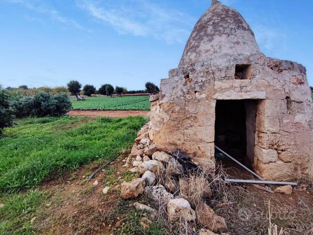 TER. AGRICOLO A POLIGNANO A MARE