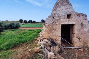 TER. AGRICOLO A POLIGNANO A MARE