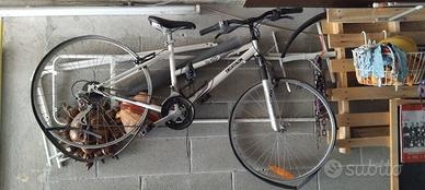 bici donna musura 26