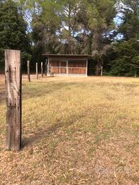 Box cavalli 6x3 m acciaio zincato e perline abete