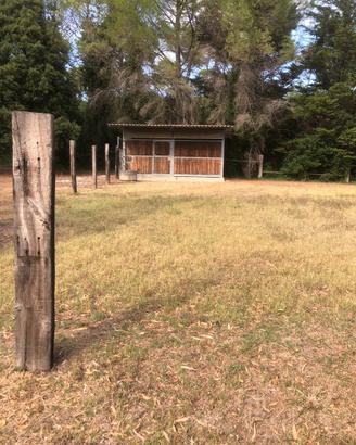 Box cavalli 6x3 m acciaio zincato e perline abete