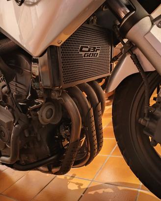 HONDA CBF 600 - griglia radiatore 