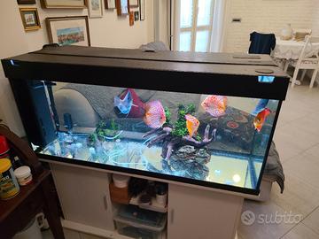 acquario juwel
