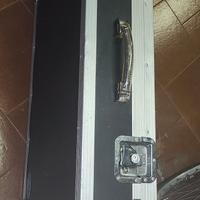 flygh case Warwick