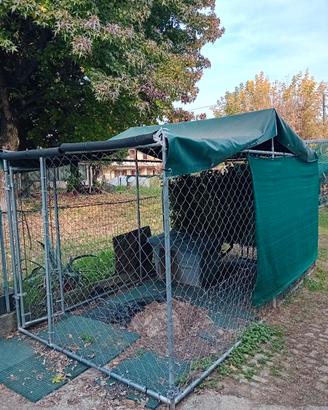 Recinto per cane 3x2