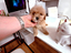 Immagine 10