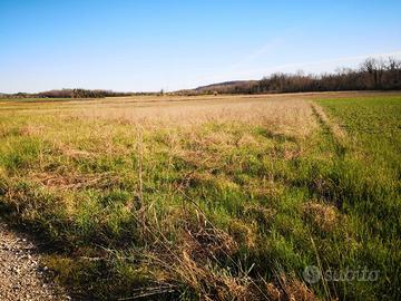 Terreno agricolo