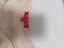 Immagine 5