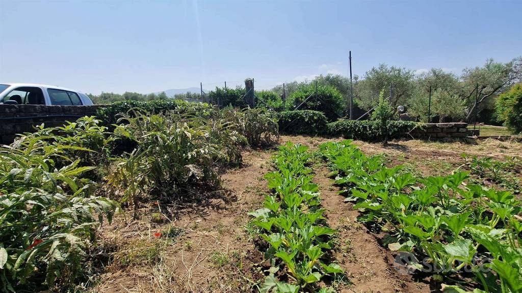 Terreno di 140 m² a Vitorchiano - Vista 3