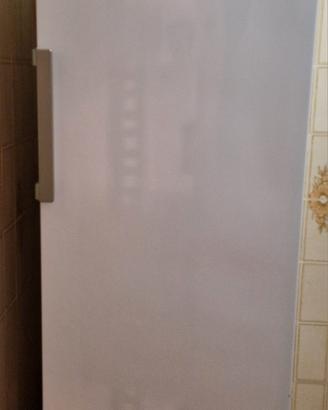Congelatore verticale Beko