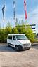 renault-master-pulmino-9-posti
