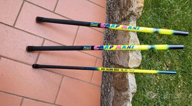 Canne da pesca da carpodromo 5€ l'una 