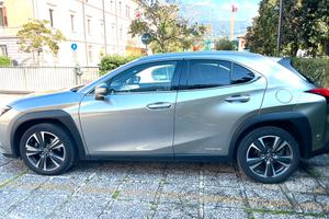 LEXUS UX2.0H-2WD-Premium