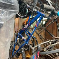 Mtb uomo ragno 8-14 anni