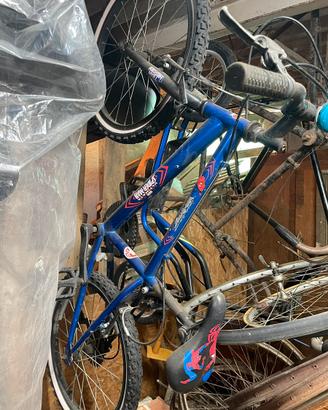 Mtb uomo ragno 8-14 anni