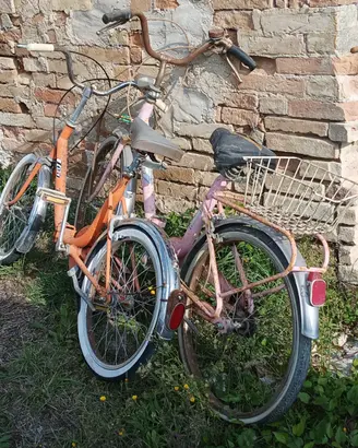 Bici da restaurare