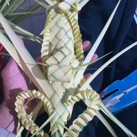 Palme su ordinazione