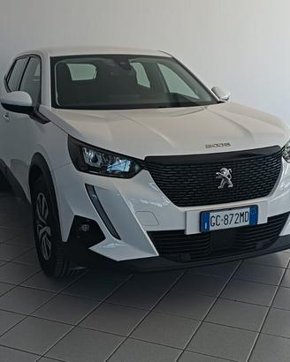 Peugeot 2008 BlueHDi 100 S&S Active s