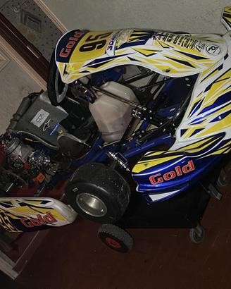 Go-Kart Gold righetti 125