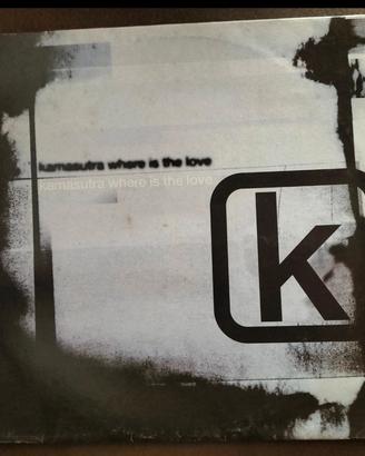 vinile mix -  Kamasutra 
