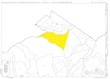Boschi in comune di Casale Corte Cerro