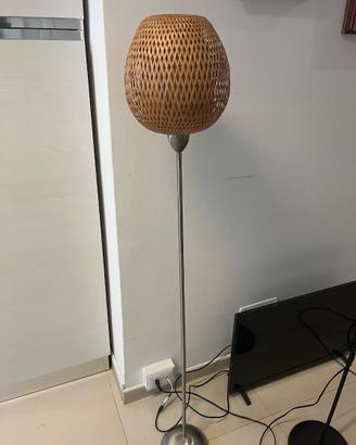 Piantana  in bambù della casa del bambú