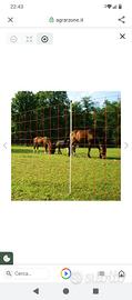 rete elettrica per pascolo e libertà animali