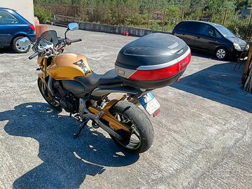 moto hornet