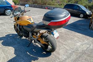 moto hornet