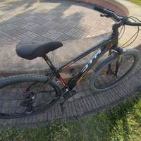 mountain bike