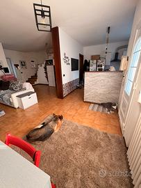 Villetta a schiera zoppola