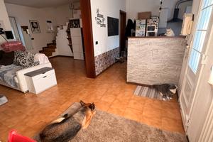 Villetta a schiera zoppola